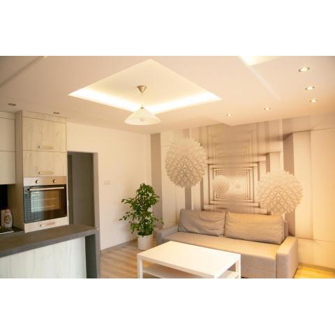 Apartament Karolewska