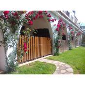 Apartamentos Alcossebre