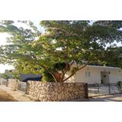Apartments by the sea Cove Saplunara, Mljet - 4896