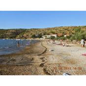 Apartments by the sea Krusevo, Novigrad - 14056