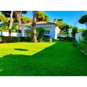 Barrosa Playa 5