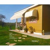 Bungalows with private pools