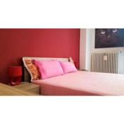 Cat's Room