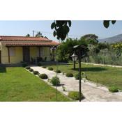 Gorjelina `s House