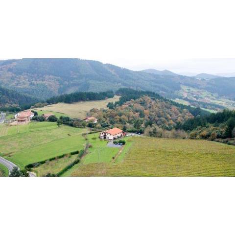 H&AP Rural Merrutxu