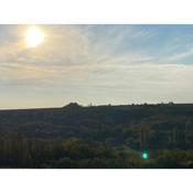 Het Blauwe Salamander Huis