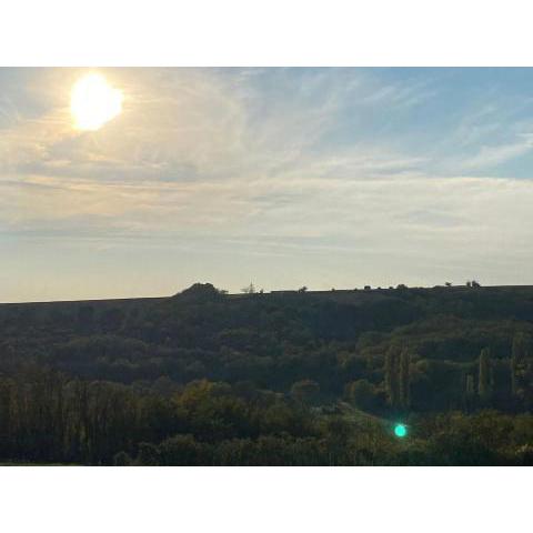 Het Blauwe Salamander Huis