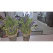 Lavender Home