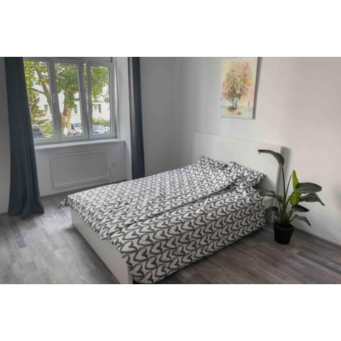 Renovated Cosy Studio near Central Station