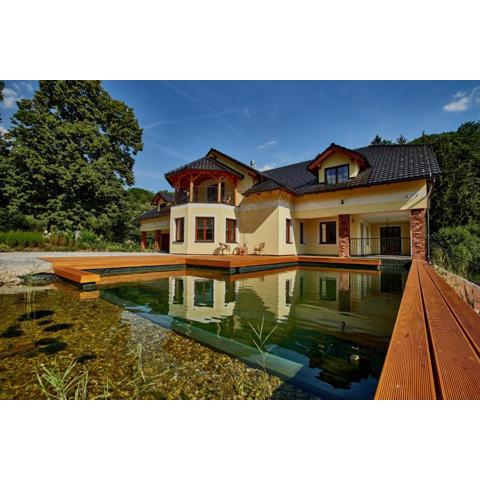 Vila Starý mlýn