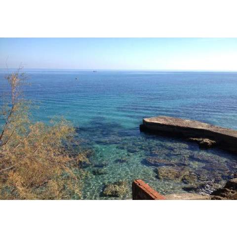 Villa Agave