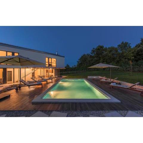 Villa Caelli a luxury villa in Istria, private pool
