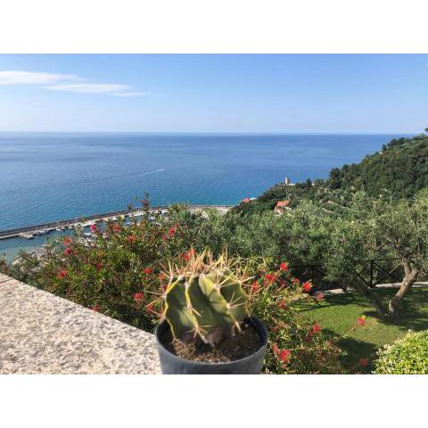 Villa Degli Ulivi B&B