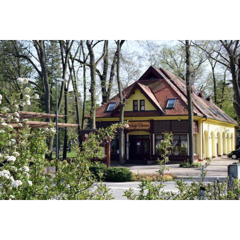 Villa Hotel